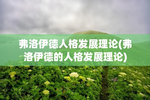 弗洛伊德人格发展理论(弗洛伊德的人格发展理论)