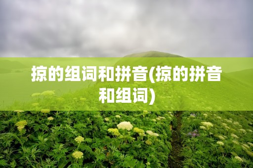 掠的组词和拼音(掠的拼音和组词)