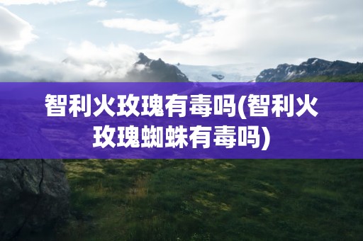 智利火玫瑰有毒吗(智利火玫瑰蜘蛛有毒吗)