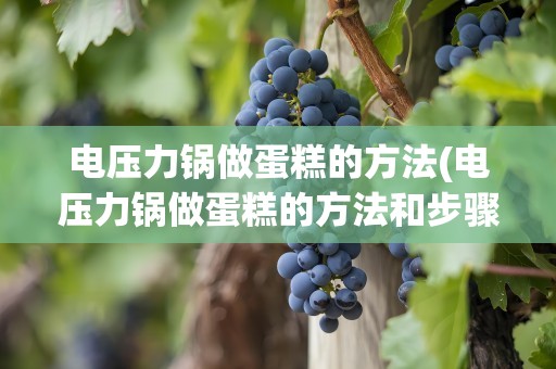 电压力锅做蛋糕的方法(电压力锅做蛋糕的方法和步骤)