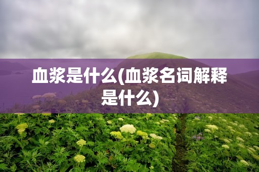 血浆是什么(血浆名词解释是什么)