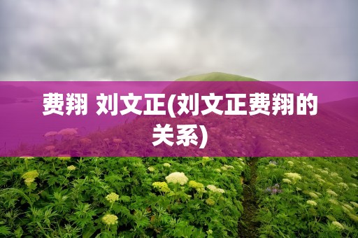 费翔 刘文正(刘文正费翔的关系)