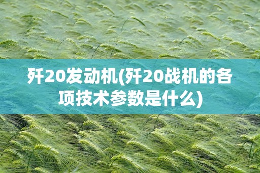 歼20发动机(歼20战机的各项技术参数是什么)