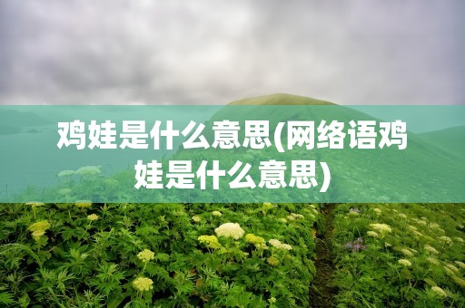鸡娃是什么意思(网络语鸡娃是什么意思)