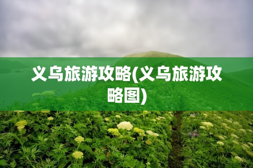 义乌旅游攻略(义乌旅游攻略图)