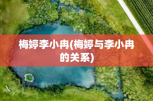梅婷李小冉(梅婷与李小冉的关系)