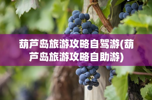 葫芦岛旅游攻略自驾游(葫芦岛旅游攻略自助游)