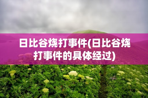 日比谷烧打事件(日比谷烧打事件的具体经过)