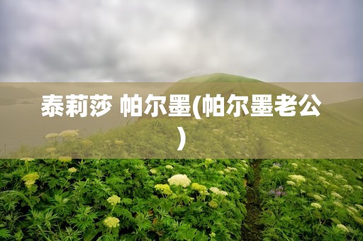 泰莉莎 帕尔墨(帕尔墨老公)