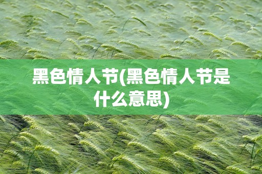黑色情人节(黑色情人节是什么意思)