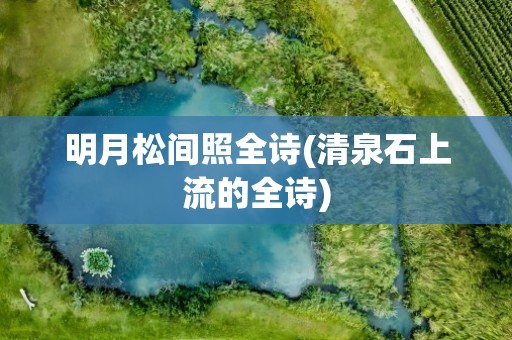 明月松间照全诗(清泉石上流的全诗)