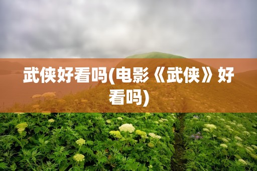 武侠好看吗(电影《武侠》好看吗)