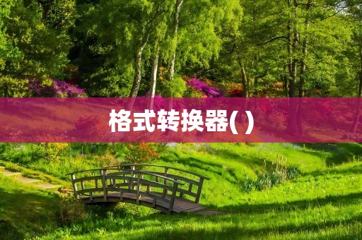 格式转换器( )