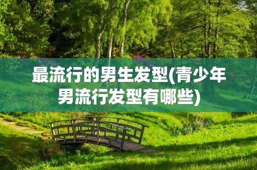 最流行的男生发型(青少年男流行发型有哪些)
