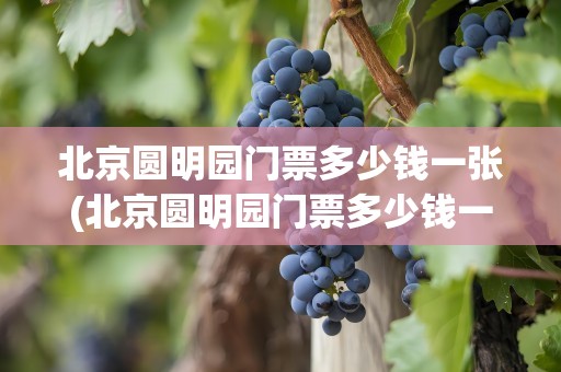北京圆明园门票多少钱一张(北京圆明园门票多少钱一张票)