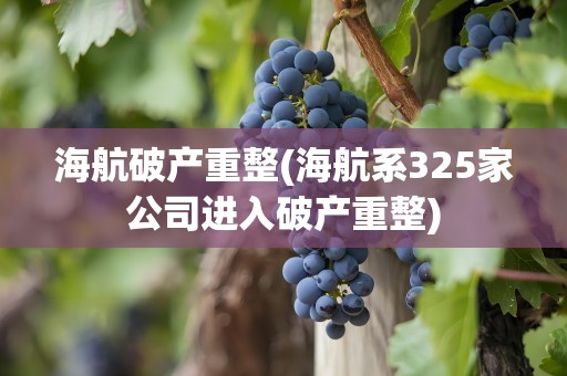 海航破产重整(海航系325家公司进入破产重整)