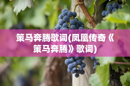 策马奔腾歌词(凤凰传奇《策马奔腾》歌词)