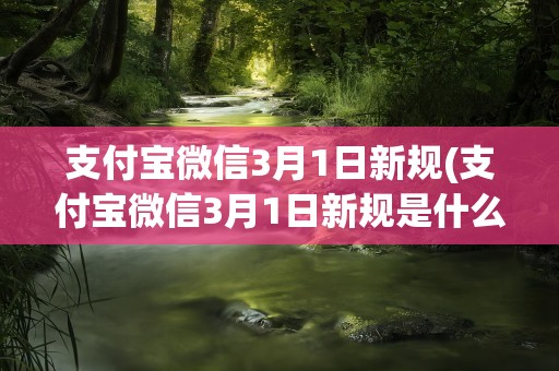 支付宝微信3月1日新规(支付宝微信3月1日新规是什么)