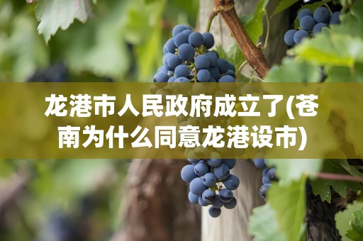 龙港市人民政府成立了(苍南为什么同意龙港设市)