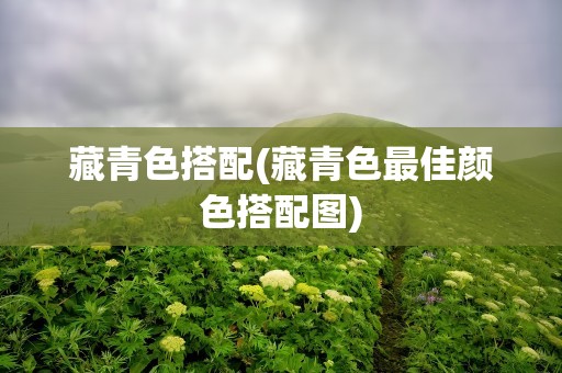 藏青色搭配(藏青色最佳颜色搭配图)