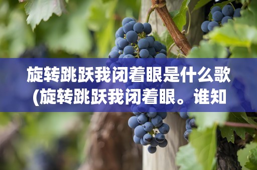 旋转跳跃我闭着眼是什么歌(旋转跳跃我闭着眼。谁知道这是什么歌)