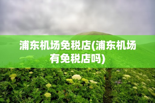 浦东机场免税店(浦东机场有免税店吗)