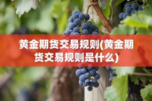黄金期货交易规则(黄金期货交易规则是什么)