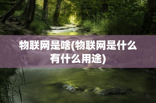 物联网是啥(物联网是什么有什么用途)