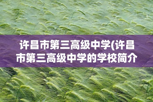 许昌市第三高级中学(许昌市第三高级中学的学校简介)