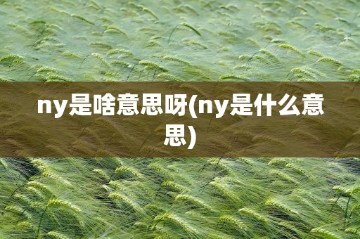 ny是啥意思呀(ny是什么意思)