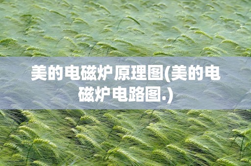 美的电磁炉原理图(美的电磁炉电路图.)