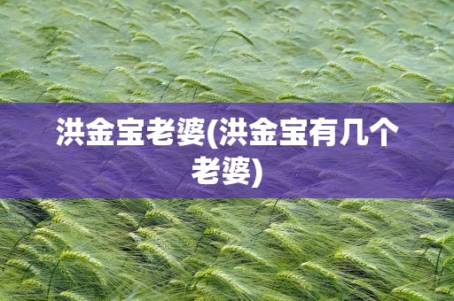 洪金宝老婆(洪金宝有几个老婆)