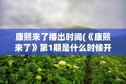康熙来了播出时间(《康熙来了》第1期是什么时候开播的)