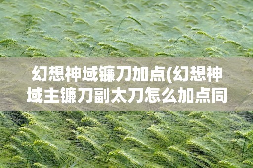 幻想神域镰刀加点(幻想神域主镰刀副太刀怎么加点同求冒险之路)