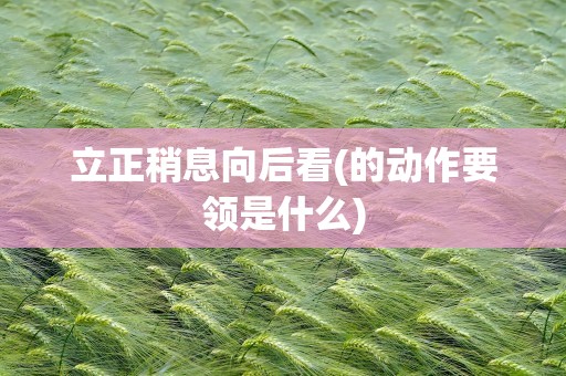 立正稍息向后看(的动作要领是什么)