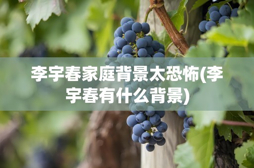 李宇春家庭背景太恐怖(李宇春有什么背景)