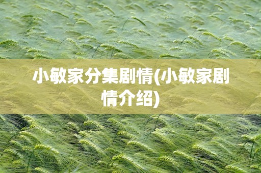 小敏家分集剧情(小敏家剧情介绍)