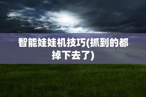智能娃娃机技巧(抓到的都掉下去了)