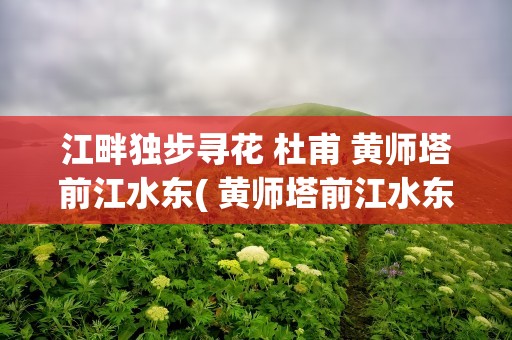 江畔独步寻花 杜甫 黄师塔前江水东( 黄师塔前江水东...的诗意)