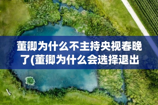 董卿为什么不主持央视春晚了(董卿为什么会选择退出主持界不再主持春晚)