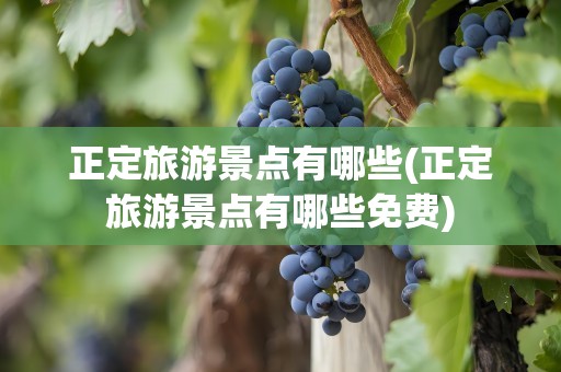 正定旅游景点有哪些(正定旅游景点有哪些免费)