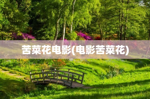 苦菜花电影(电影苦菜花)