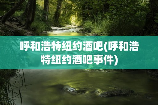 呼和浩特纽约酒吧(呼和浩特纽约酒吧事件)