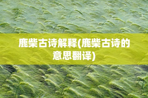 鹿柴古诗解释(鹿柴古诗的意思翻译)