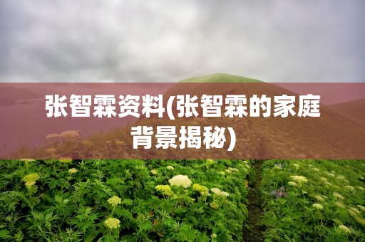 张智霖资料(张智霖的家庭背景揭秘)