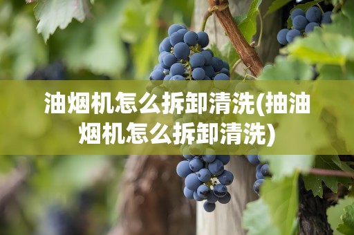 油烟机怎么拆卸清洗(抽油烟机怎么拆卸清洗)