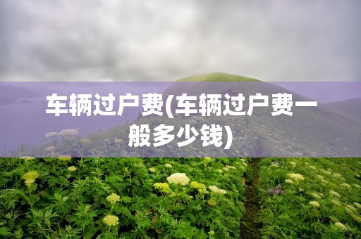 车辆过户费(车辆过户费一般多少钱)