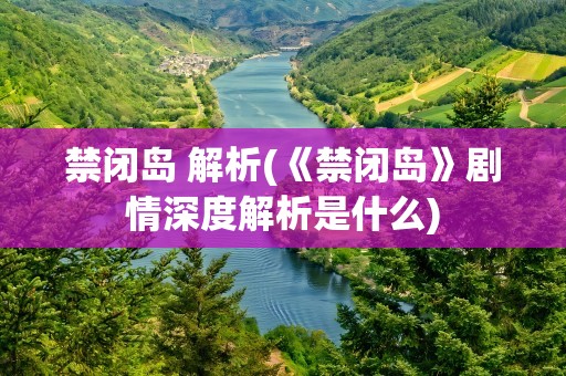 禁闭岛 解析(《禁闭岛》剧情深度解析是什么)