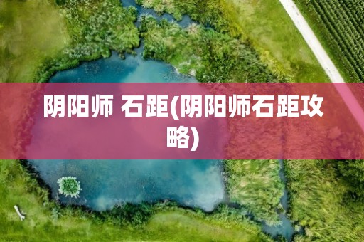 阴阳师 石距(阴阳师石距攻略)