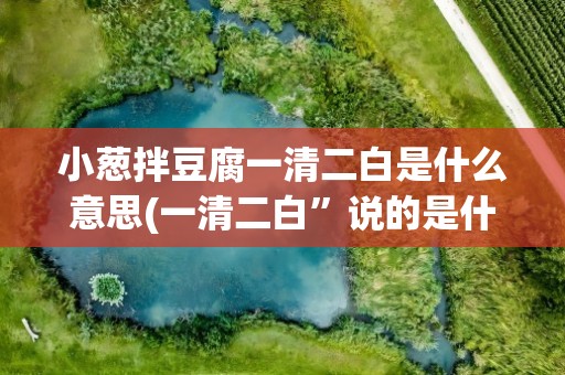 小葱拌豆腐一清二白是什么意思(一清二白”说的是什么意思)